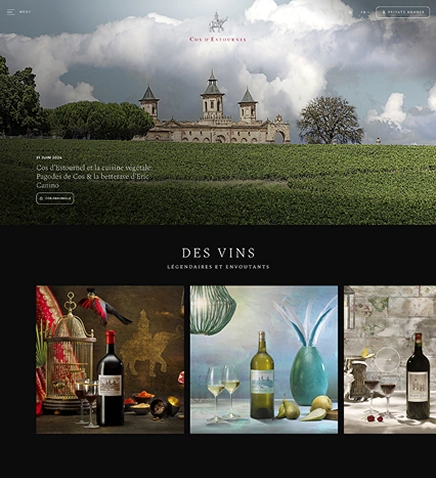 COS ESTOURNEL site web